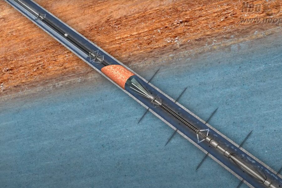 WhatsApp Image 2025-10-21 at 1.40.51 PM